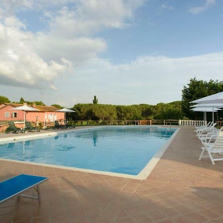 Agriturismo Colle Al Sole Lejlighed Castiglione del Lago Eksteriør billede