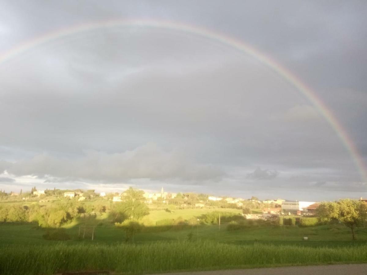 Agriturismo Colle Al Sole Lejlighed Castiglione del Lago Eksteriør billede