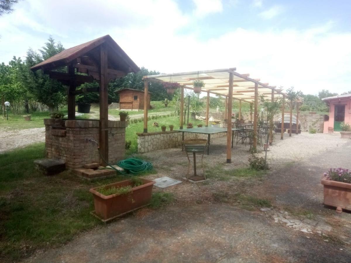 Agriturismo Colle Al Sole Lejlighed Castiglione del Lago Eksteriør billede