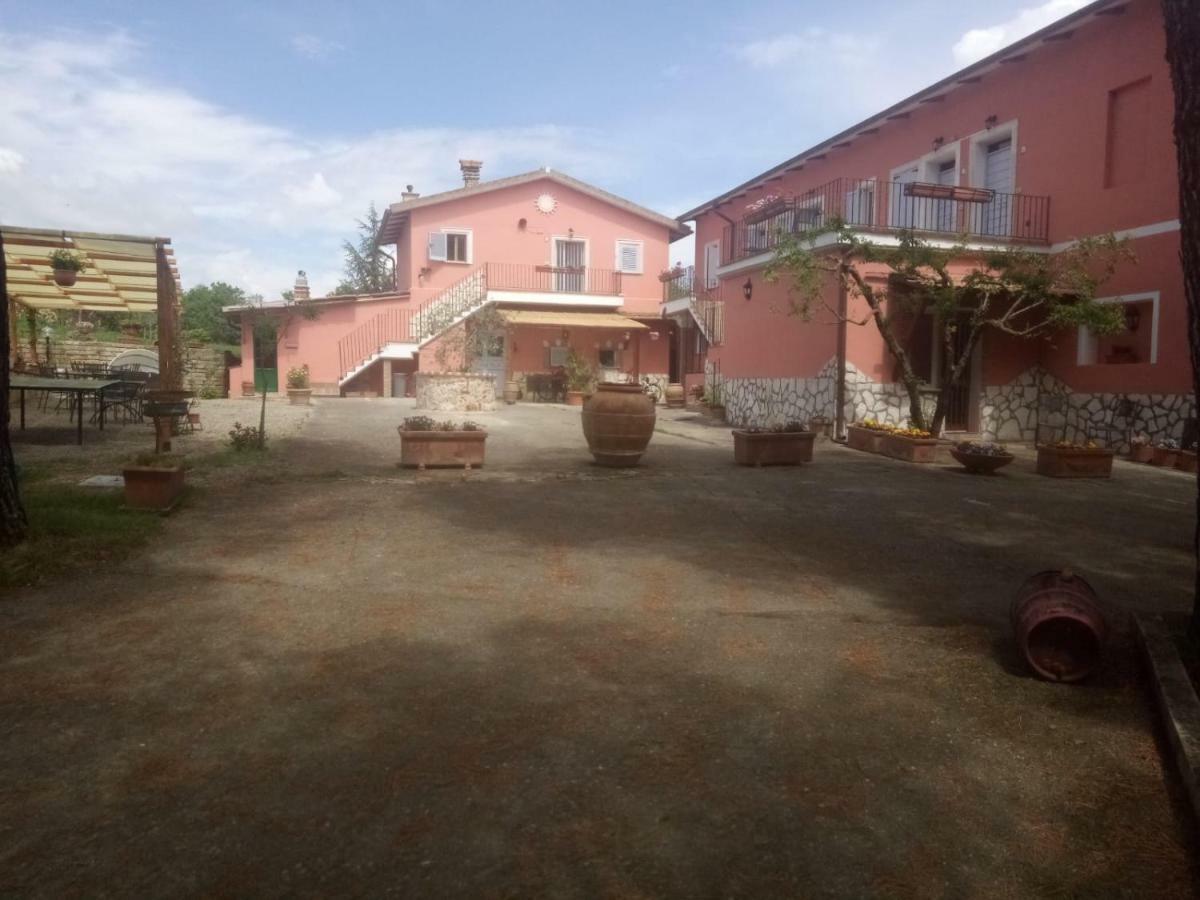 Agriturismo Colle Al Sole Lejlighed Castiglione del Lago Eksteriør billede