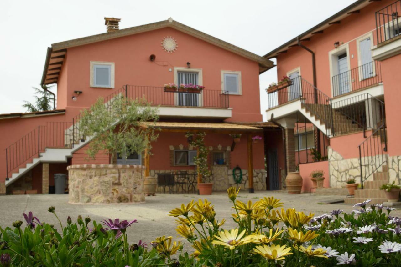 Agriturismo Colle Al Sole Lejlighed Castiglione del Lago Eksteriør billede