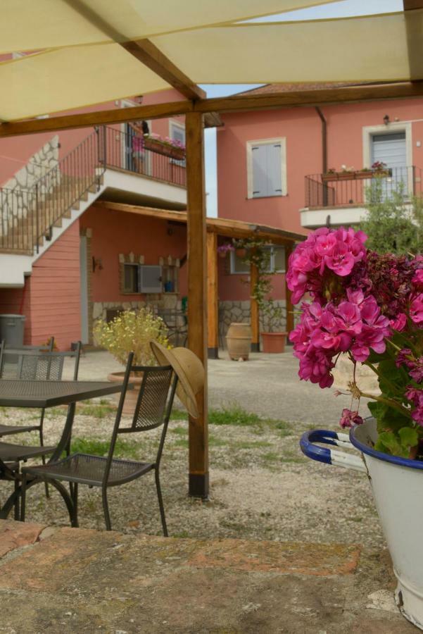 Agriturismo Colle Al Sole Lejlighed Castiglione del Lago Eksteriør billede